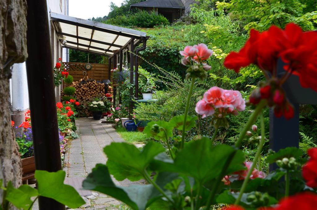 Ferienwohnung Hauser Bad Schandau Exterior foto